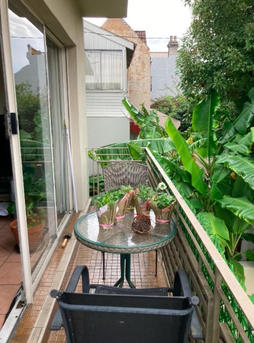 Bondi House Homestay *