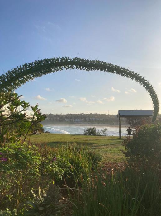 Bondi House Sydney